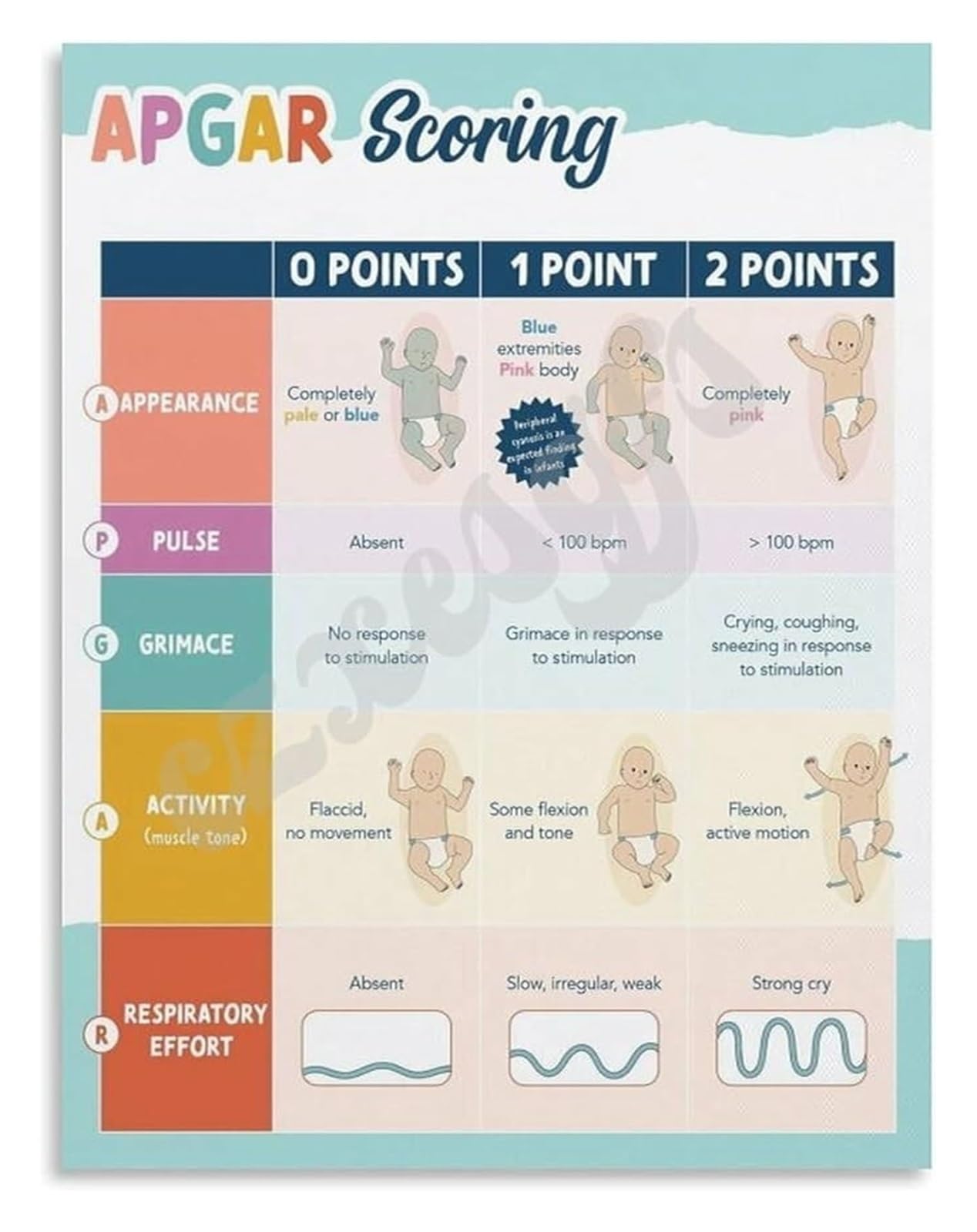 UYCUODLUY APGAR Score and Neonatal Resuscitation Reference Guide Poster for Healthcare Professionals Pediatric Office Education Wall-Art(Unframed,16x24inch(40x60cm))