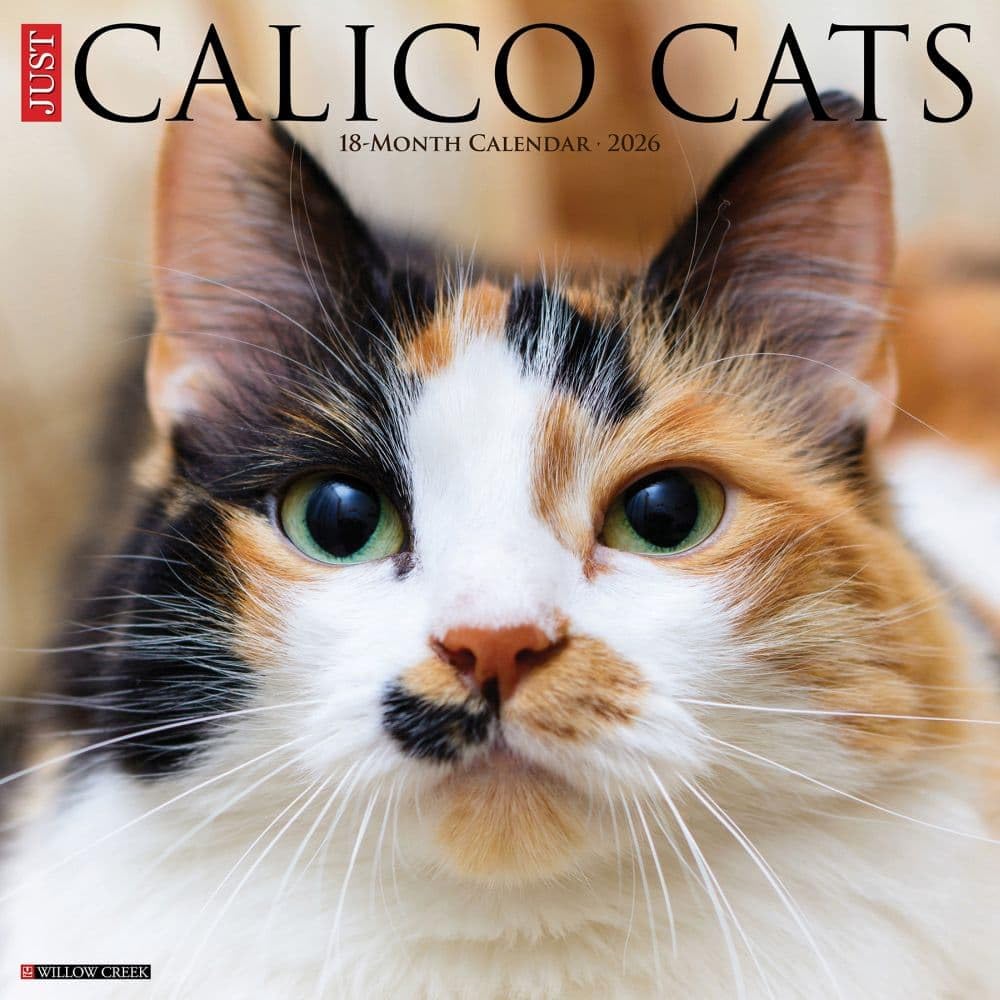 Willow Creek Press, Calico Cats 2026 Wall Calendar, 12'' X 12'', 18-Month Calendar with Stapled Binding