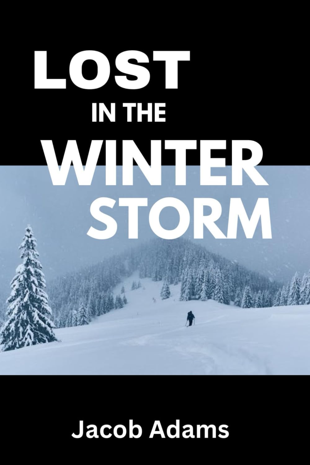 LOST IN THE WINTER STORM: Cracking the Ice, The Storm Beckons, Breaking Through the Storm, Shadows in the Snow, Bonds Forged in Ice, A Fateful Encounter, Surviving the Night, A New Dawn and More...