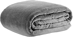 Cobertor Lumini Queen, Extra Macio Toque de Pel�cia, Microfibra 100% Poli�ster, 300?g/m�, 2,20?�?2,40?m, Leve e Aconchegante, Design Liso, F�cil de Lavar � Altihaus (Cinza)