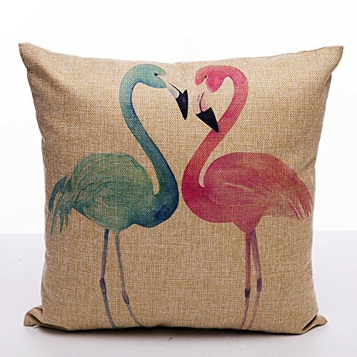 KateHome PHOTOSTUDIOS Rosa & Blu Fenicottero