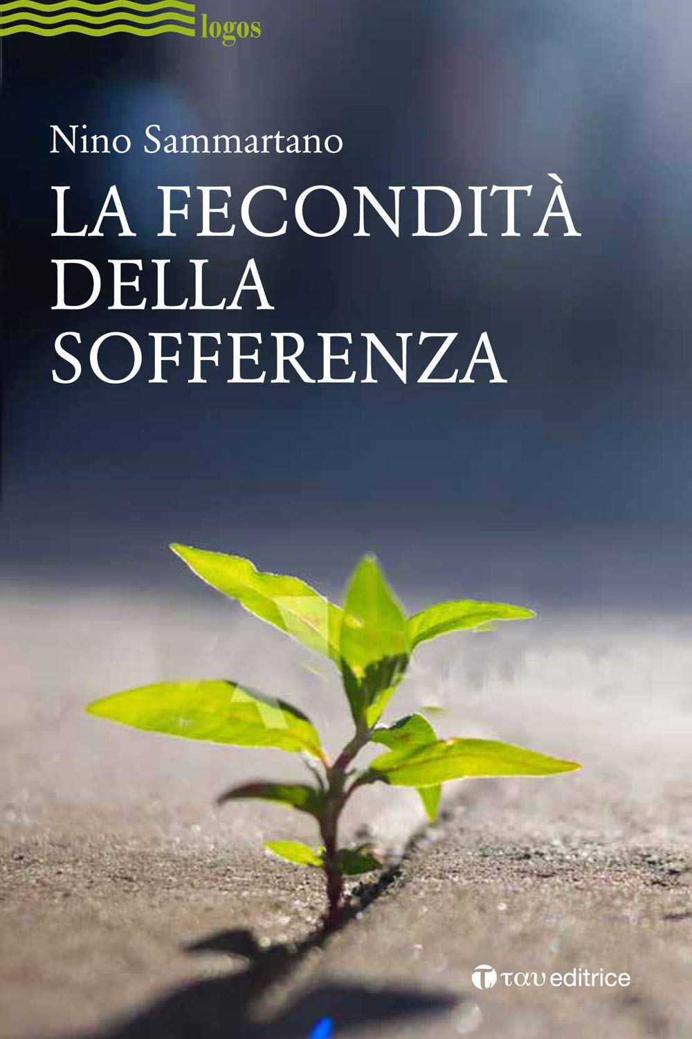 La Fecondità Della Sofferenza - 4