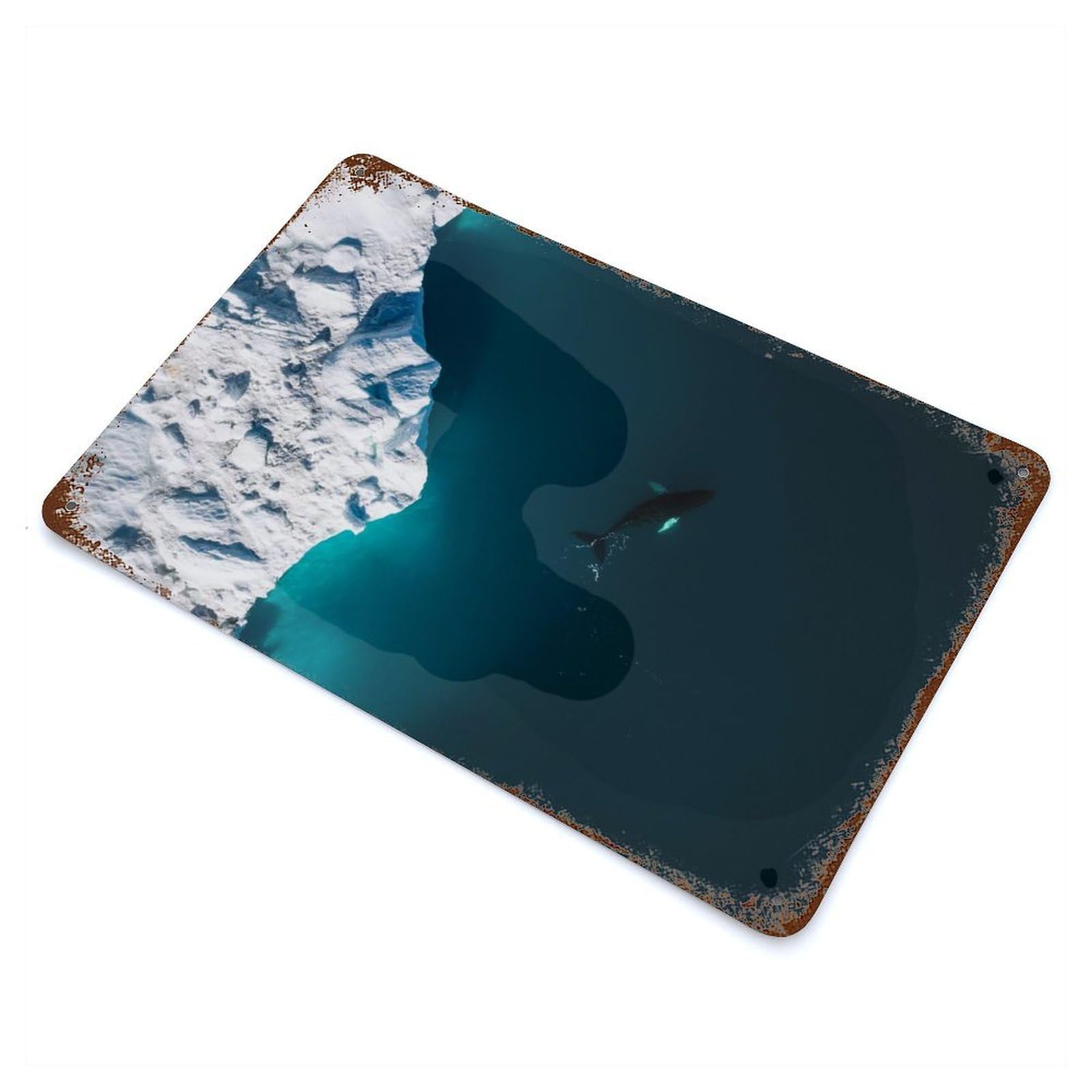 Garage Style Arctic Humpback Whale from Above Decorative Tin Sign 11.8"x7.9", Rustic Home Decor for Bar And Workshop