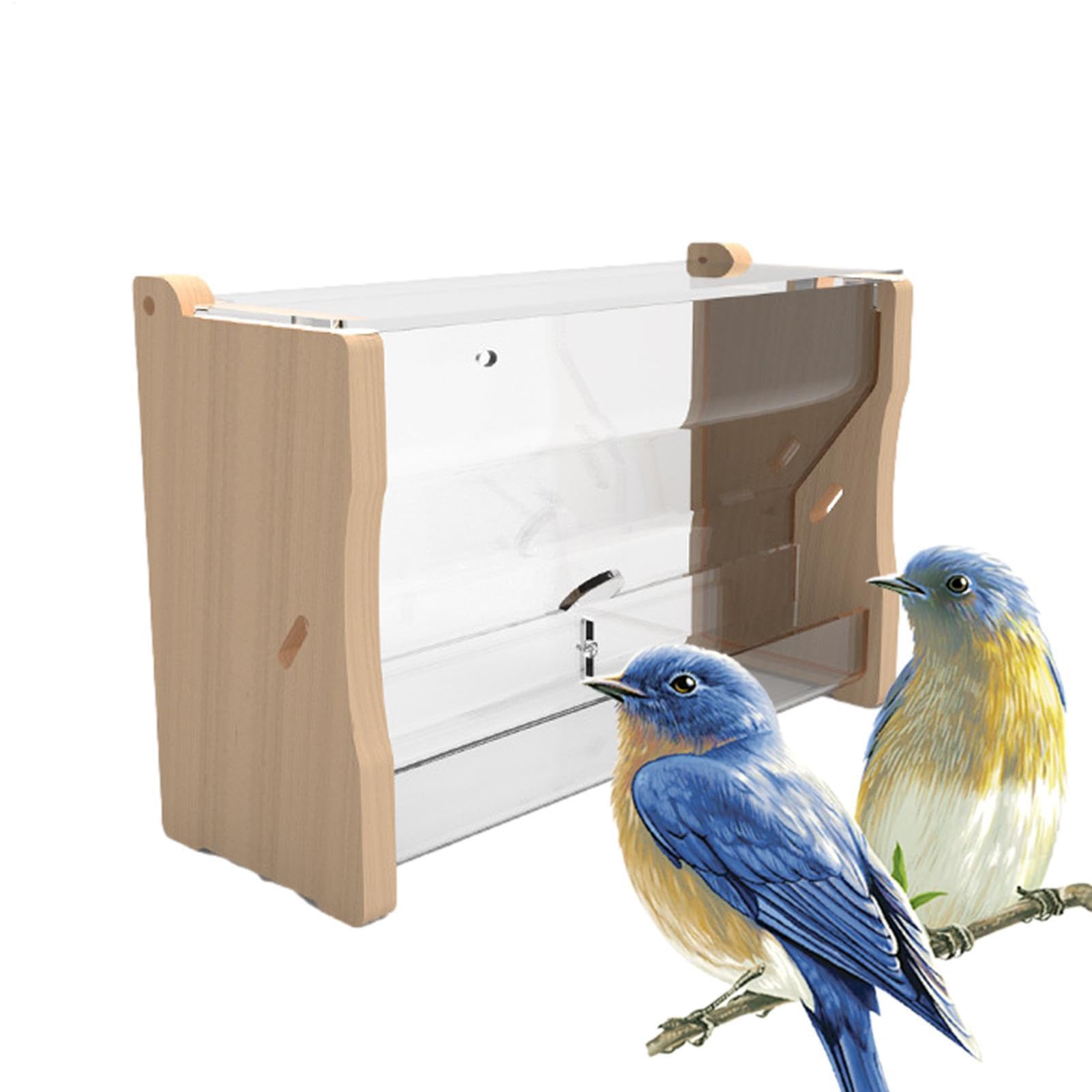 No Waste Quail Feeder,Duck Water Feeder Distributeur d'eau pour Oiseaux, | Mangeoire à poulet Distributeur d'eau d'