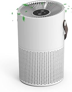 Air Purifiers for Bedroom Home,4 Layers True HEPA Air Filter,20db Quiet HEPA Filter for Dust Smoke Pollen Pet Dander Hair Odor,Small Air Purifier for Office Living Room,Ozone-Free,323 ft² Coverage