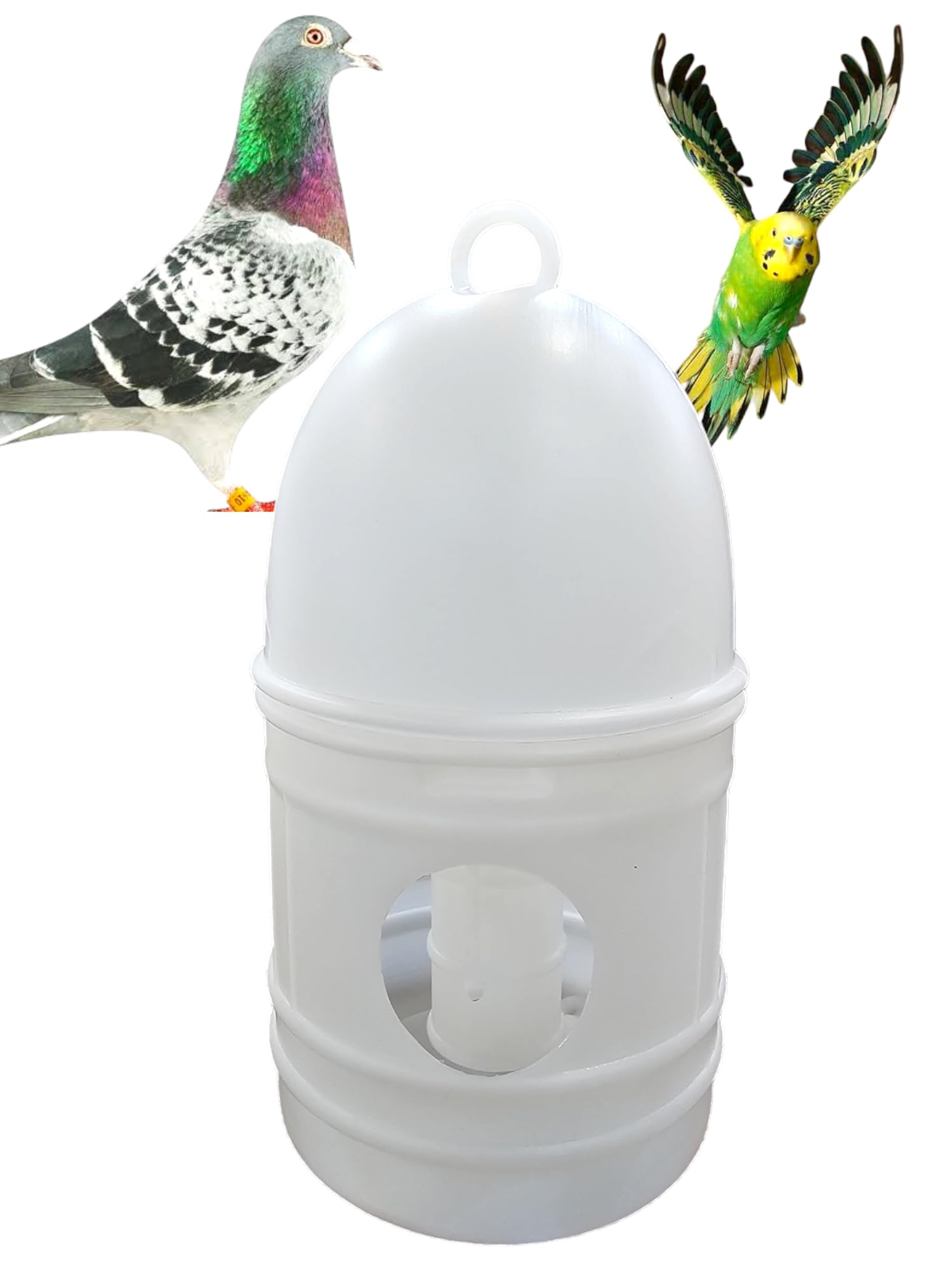 Pigeon Automatic Bird Water Drinker, 1 litre, Keeps Water Fresh, Easy to Clean, Plastic, Non-Toxic (B0D9TBXH1B) Amazon Price History, Amazon Price Tracker