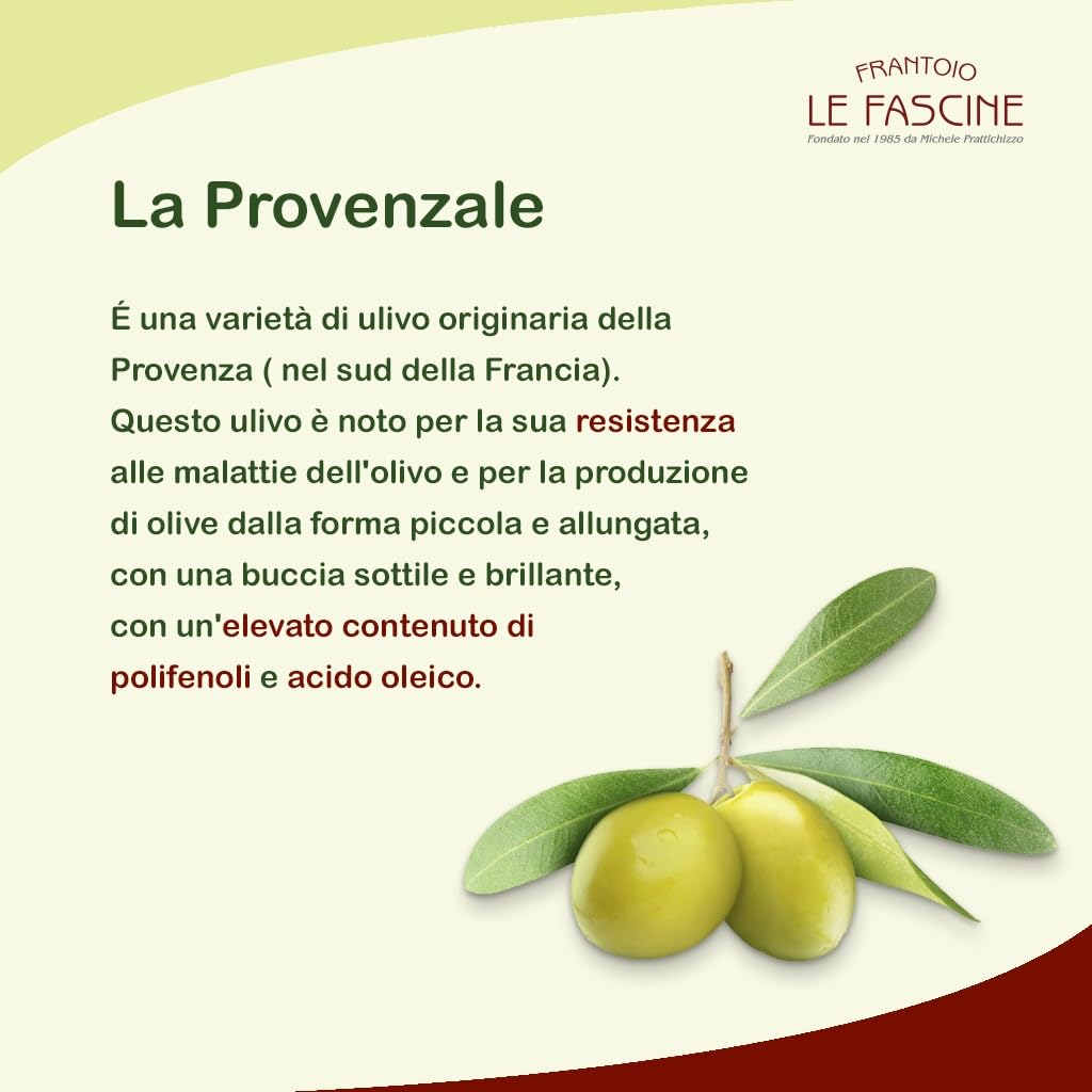 Le Fascine "Classico" - 100% italienisches Olivenöl, extra natives Olivenöl, kaltgewonnen, ungefiltert, 100% hergestellt von Monocultivar Provençal (2 x 3 Liter)