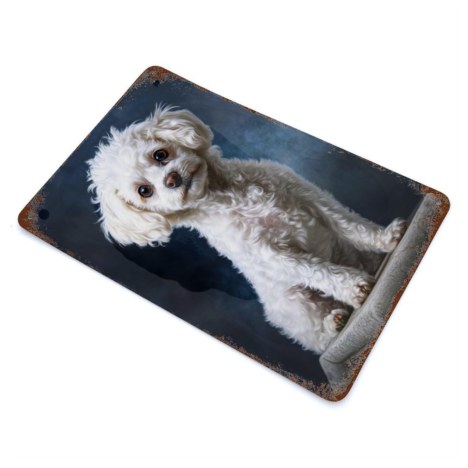 White Poodle Portrait Rust Effect Tin Sign 11.8"x7.9", Ideal for Farmhouse, Kitchen And Entryway Decor