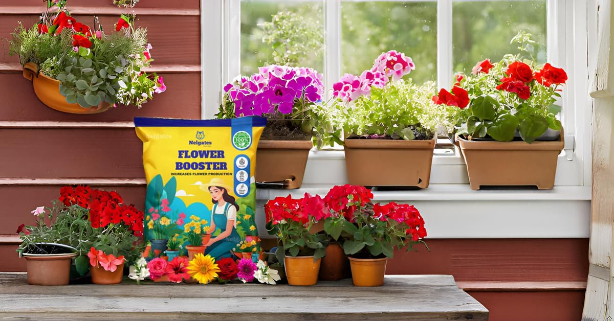 Nelgates Premium Flower Booster Fertilizer for Plants, flower booster for all flowering plants 500gms (B0D9H67TJ2) Amazon Price History, Amazon Price Tracker
