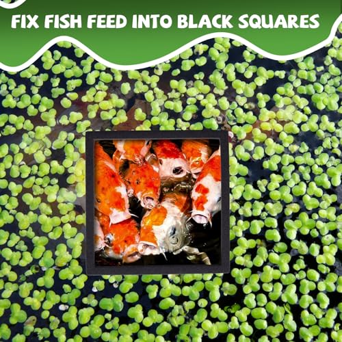 Image of 10pcs Fish Feeding Ring, Oval Square Aquarium Floating Plant Barriers, Mix Sizes EVA Fish Feeder Corral Aquarium Fish Tank Accessories for Betta Goldfish Turtle- Black