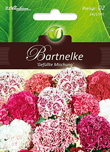 Dianthus, Bartnelken,Gefülltblüh.Mg.