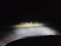 Review Image by Evan L. Evan L.