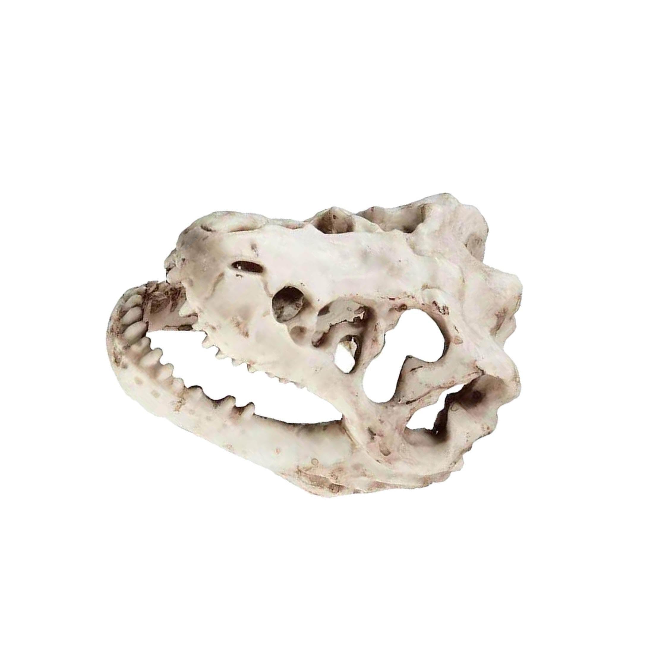 YIXANNX Standout Aquarium Fish Tank Decorations Accessories Featuring Dragon Small Cave Resin Dinosaur Skull For All Aquatic Attractions Dragon Small Cave