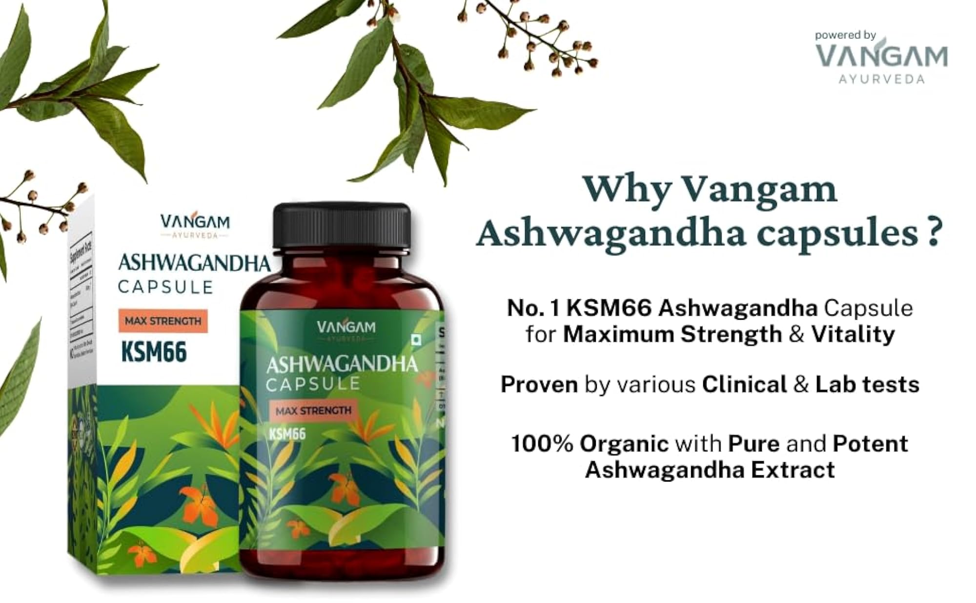 Ashwagandha KSM-66 Capsules, 500mg, 60 Count