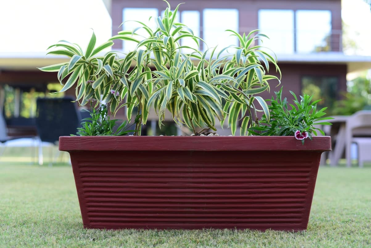 Super Lifestyle 31 Inch Rectangular Pot for Plants, Highly Durable Polymers & Lightweight Indoor Outdoor Planter Pots, Flower Pot Gamla Tree Planter Container for Home & Balcony (Terracotta Red) (B0C1JP2FYT) Amazon Price History, Amazon Price Tracker