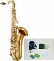 Amazon | 【ヤマハお手入れセット付】YAMAHA ヤマハ YTS-380