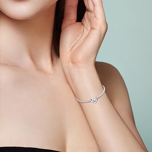 Miniatura 5 de Dijes de plata de ley 925 para pulseras y collares, cuentas colgantes con piedras de circonita cúbica 5A, regalos de joyería para mujeres, Plata