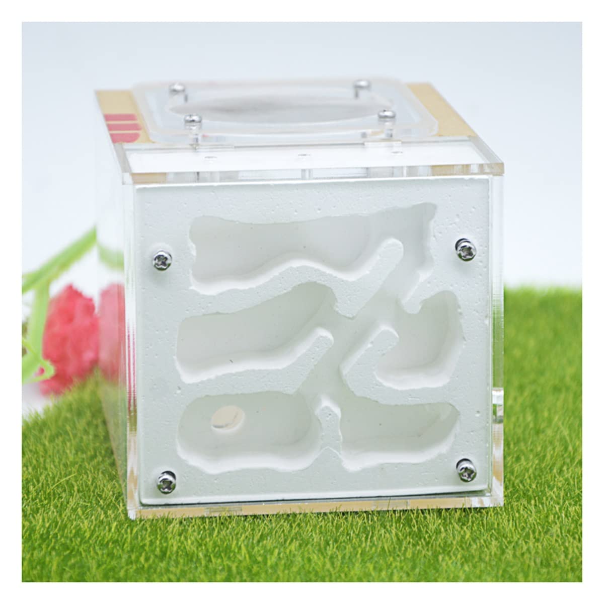 アクリル製アリ飼育キット 自然な岩レイアウト Amazon.co.jp: アリの巣