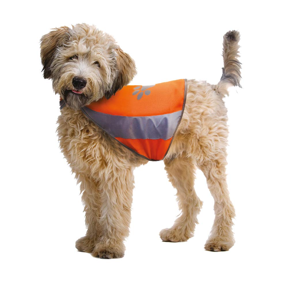 CROCI High Visibility Jacket, Medium