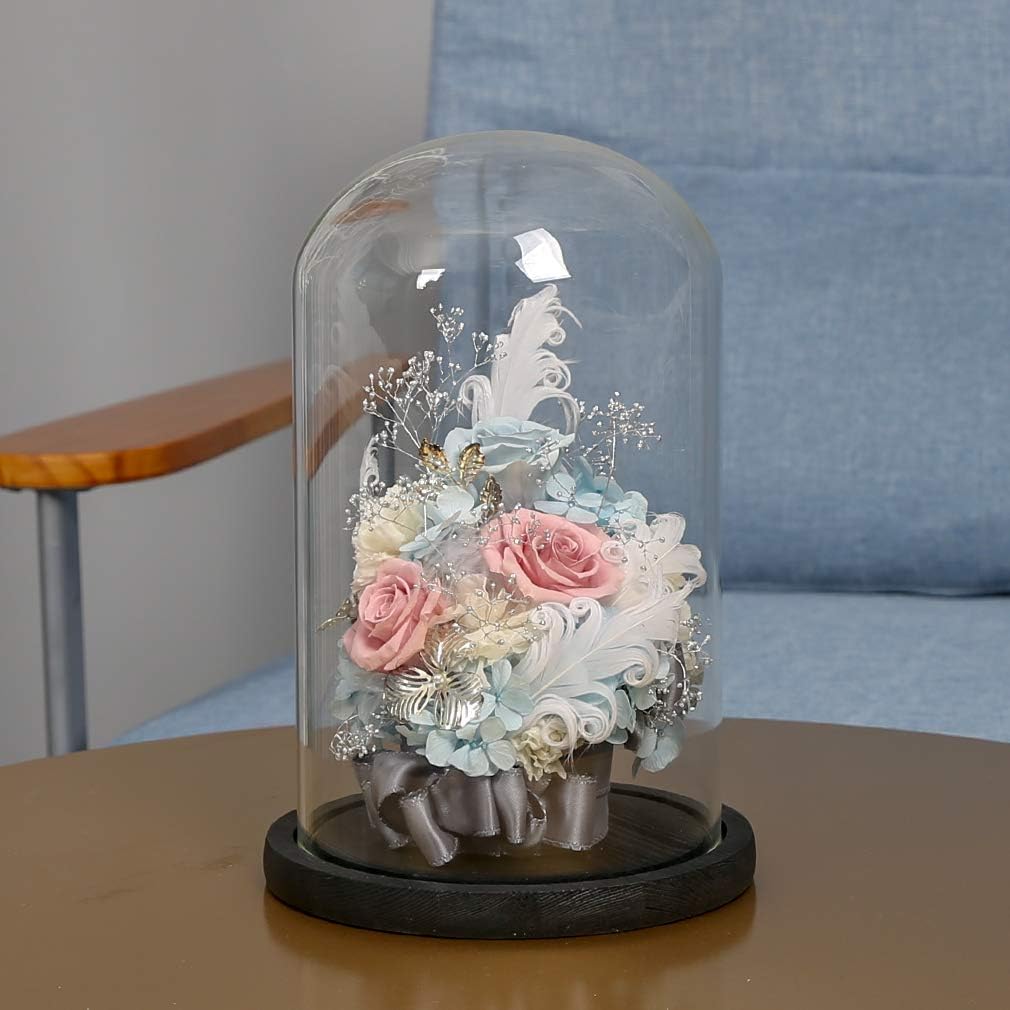 Onе-Dау Sаlе: Uр tо 80% оƒƒ ANLUNOB Preserved Fresh Flower Eternity Rose, Never Withered Real Rose, Gift for Valentine's Day, Mother's Day, Thanksgiving Day, Christmas, Birthday Blue