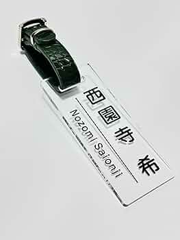 61h1YUsOuGL._AC_UF350,