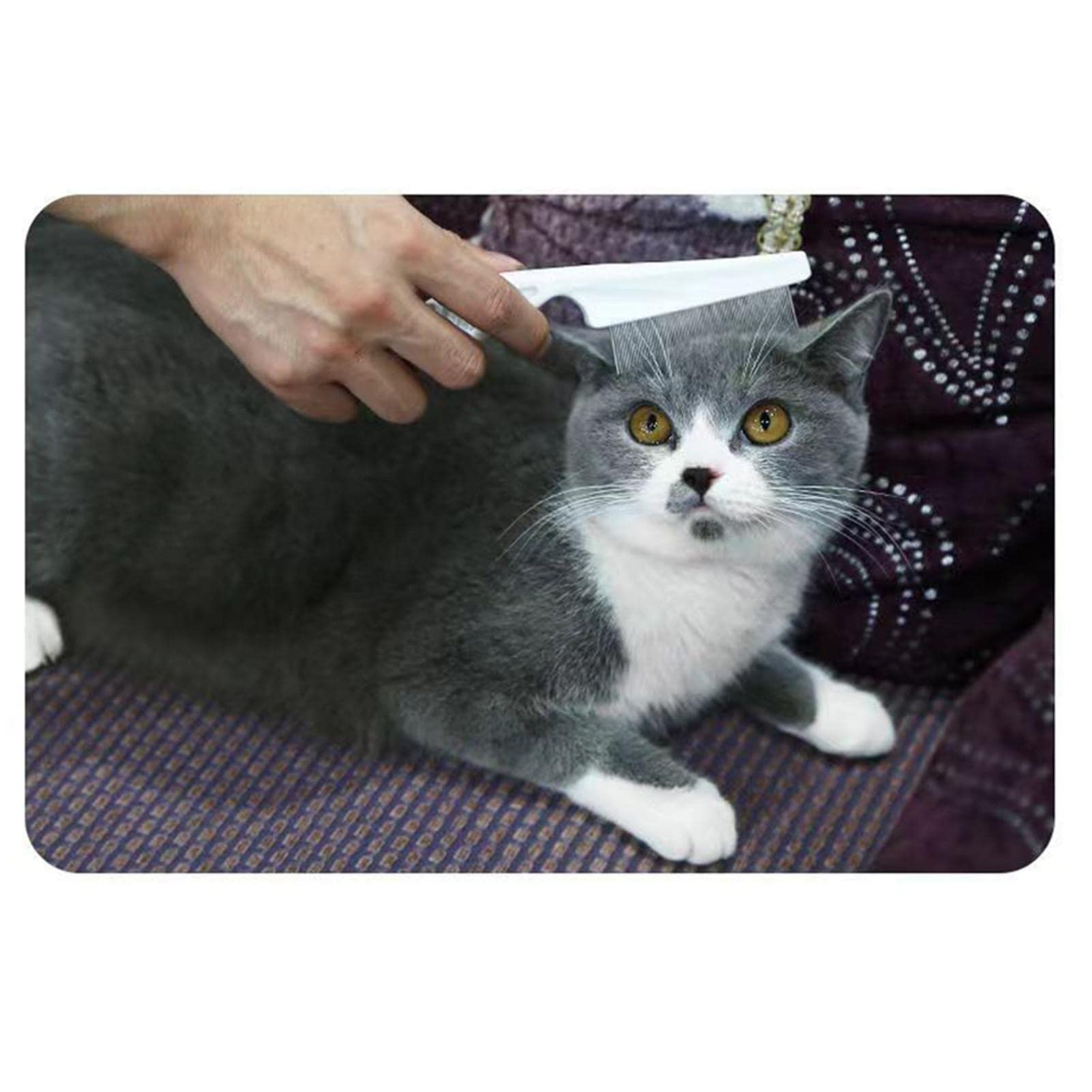 Peigne anti-puces pour chiens avec poignée antidérapante pour chien avec manche amélioré, peigne à puces professionnel, peigne à dents longues et courtes pour chiens Jingan