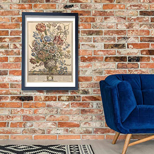 Lámina botánica Doce meses de flores de Robert Furber, impresión artística decorativa 3