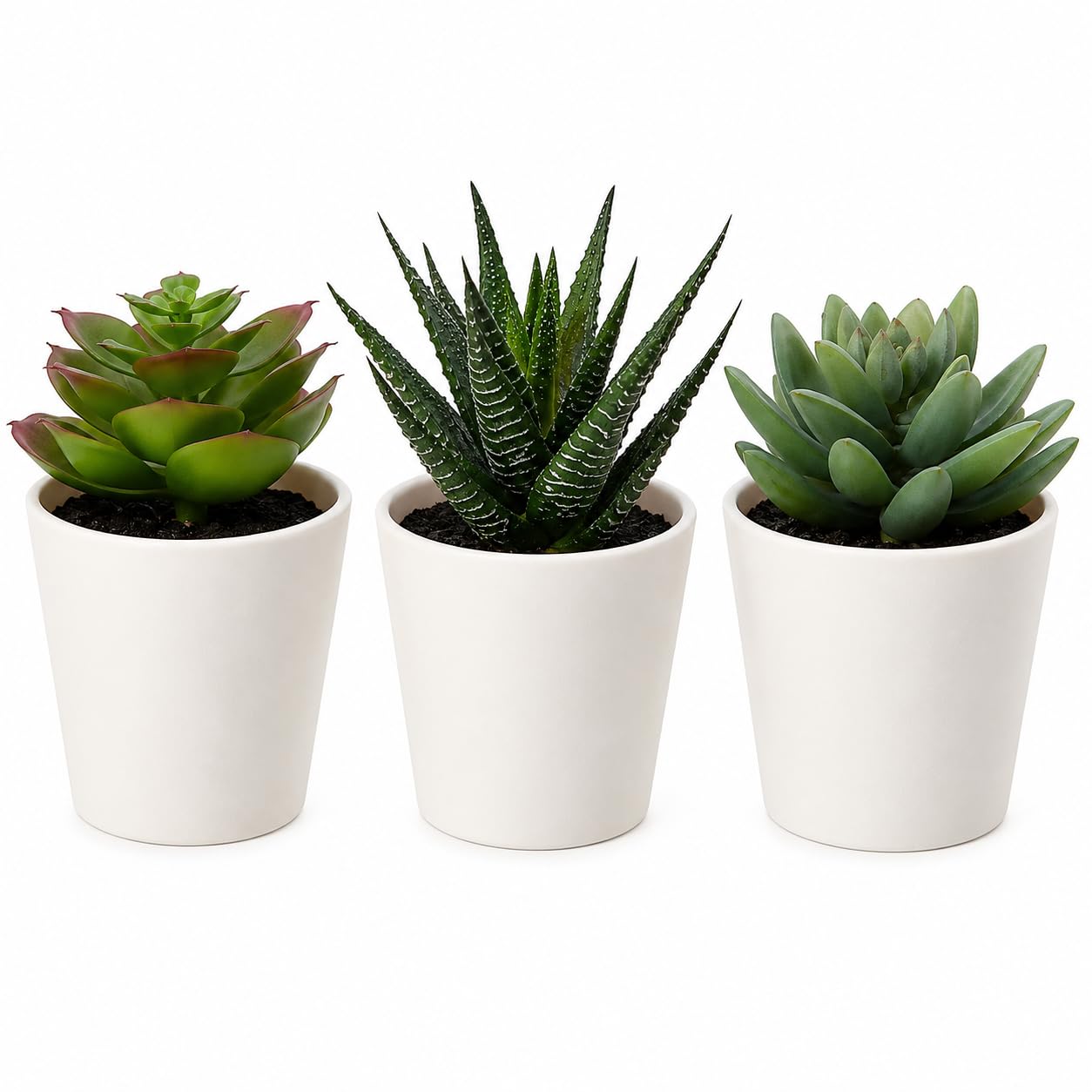 IKEA Fejka Yapay Saksı Bitkisi Saksılı İç Mekan Dış Mekan Etli / 3'lü Paket Boyutu 2 ¼ " 3'lü Paket 203.953.31