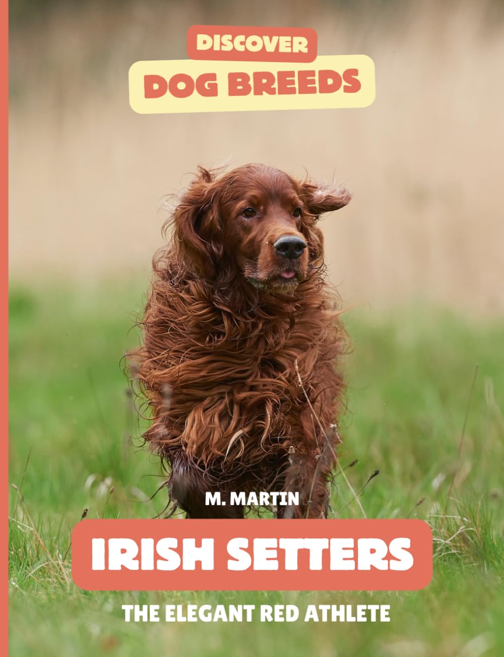 Irish Setters: The Elegant Red Athlete (Discover Dog Breeds)