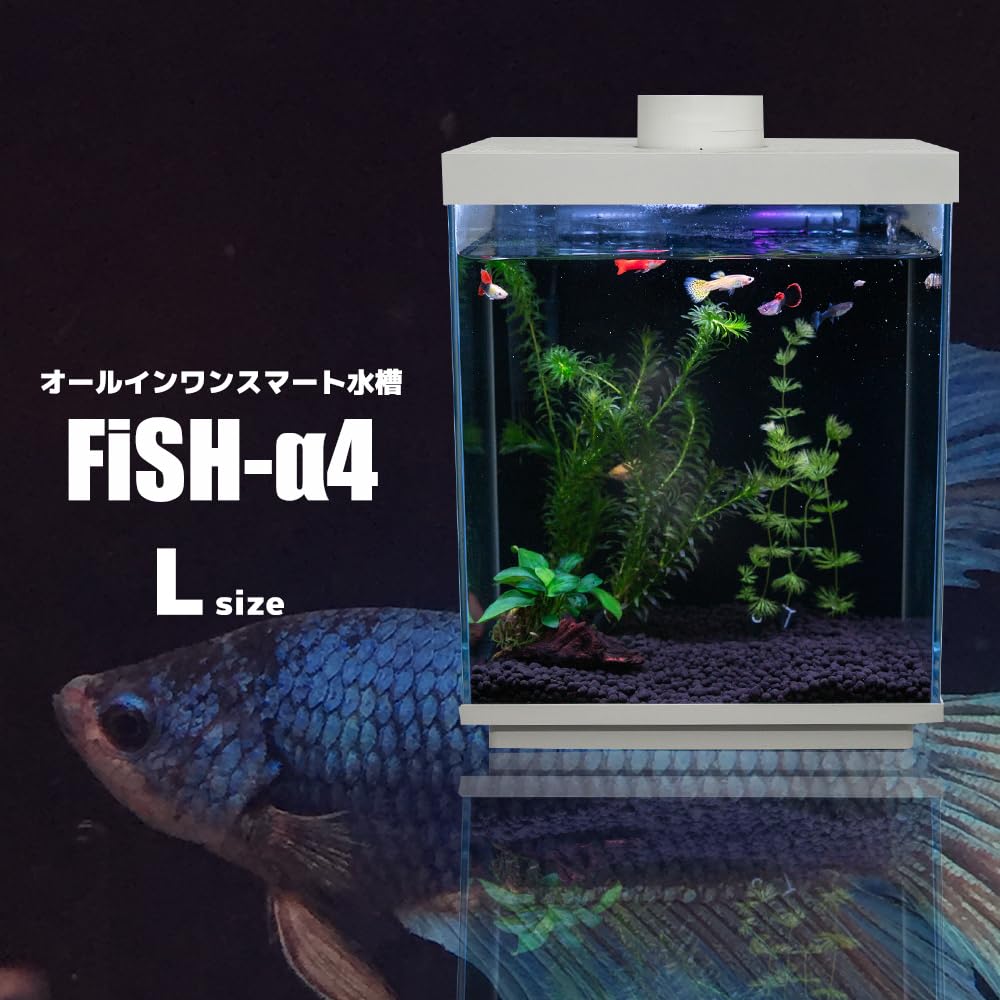 Amazon | 小型 オールインワン スマート水槽 多機能水槽☆FiSH-α4 IOT