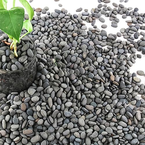 Image of 7lb Natural River Rocks Pebbles for Plants & Succulents, Decorative Outdoor Landscaping Garden Rocks, Mexican Beach Pebbles for Aquarium & Vase Decor