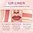 evpct 1Pcs Chestnut Antique Rose Lip Liner and Lipstick Set Kit for Women Matte Lips Kit with Lip Liner Lip Stains Long Lasting Waterproof 24 Hour Lipstick and Lip Liners Combo Lipliners Pencil 04