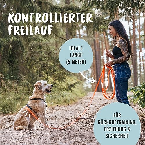 Schleppleine Rudelkönig für Hunde 5m und 10m aus robustem Material