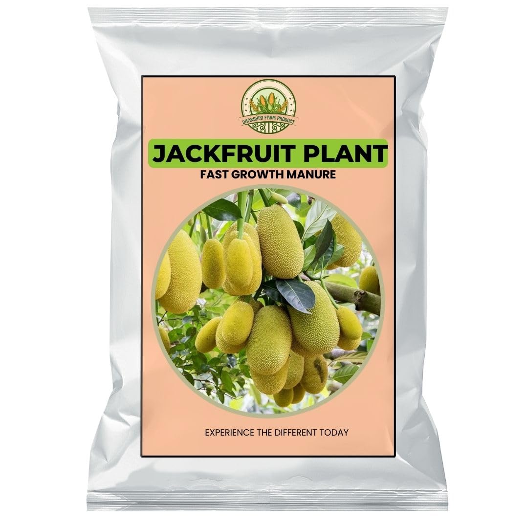See full amazon price history chart for JACK FRUIT TREE FERTILIZER | Promote Healthy Growth, Strong Roots, Lush Green Foliage & Fruit production JACK FRUIT TREE FERTILIZER | Promote Healthy Growth, Strong Roots, Lush Green Foliage & Fruit production (B0D88JGY5Y) Amazon Price History, Amazon Price Tracker