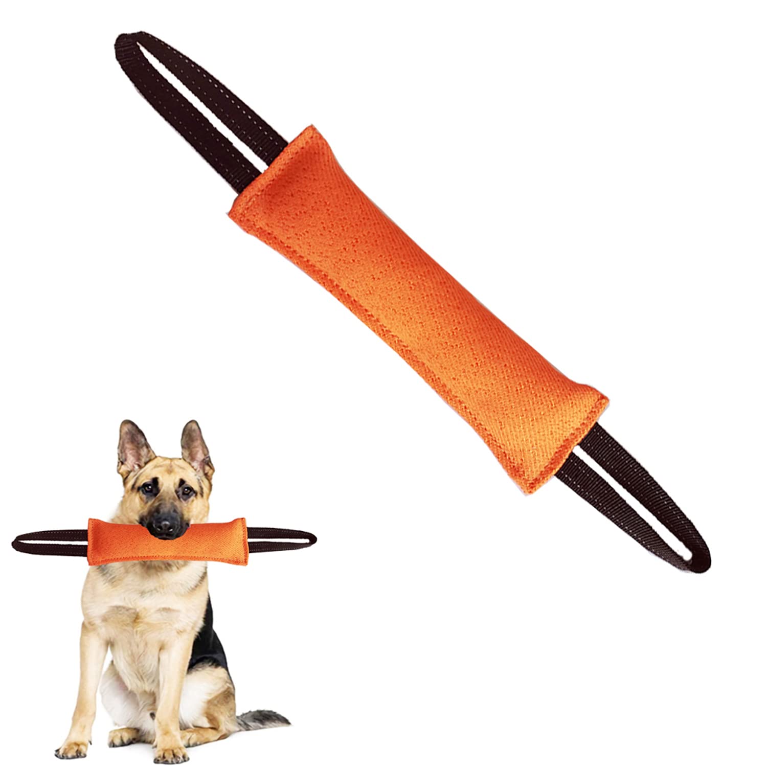 Why Do Good Dogs Bite