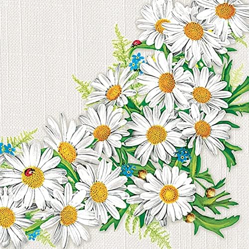 DAISY 3-Ply Spring Flowers Tissue Paper Napkins Serviettes for Decoupage Lunch 33cm x 33cm - Pack of 20 (Drawn Roses with Butterflies)