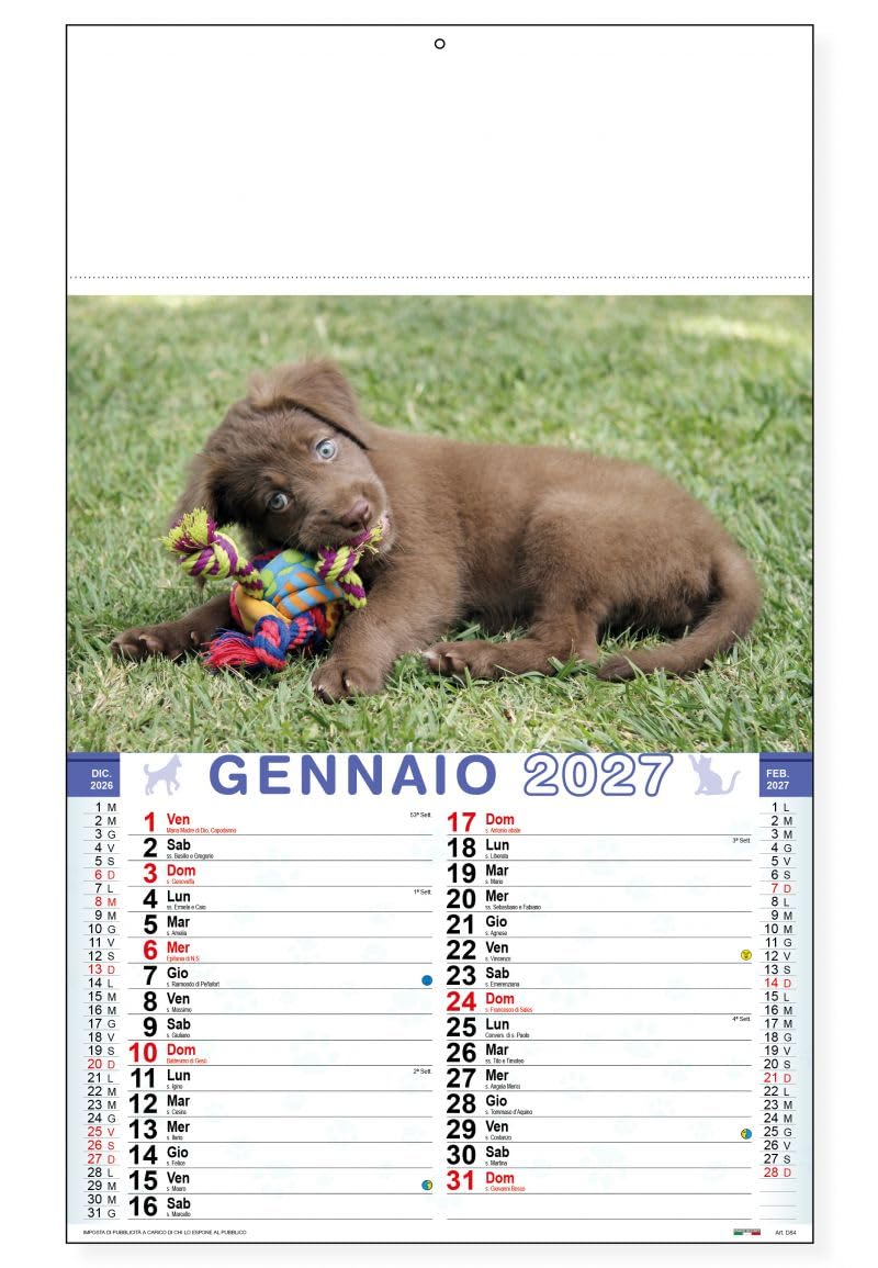 100 Calendari Da Parete 2027 - Calendario trimestrale Cani e Gatti - 28,8x47 - personalizzati con logo - Personalizzabile - Collezione 2027-100 pezzi