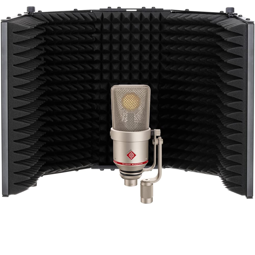 Amazon.com: NEUMANN Neumann TLM 170 R Large-Diaphragm Multipattern