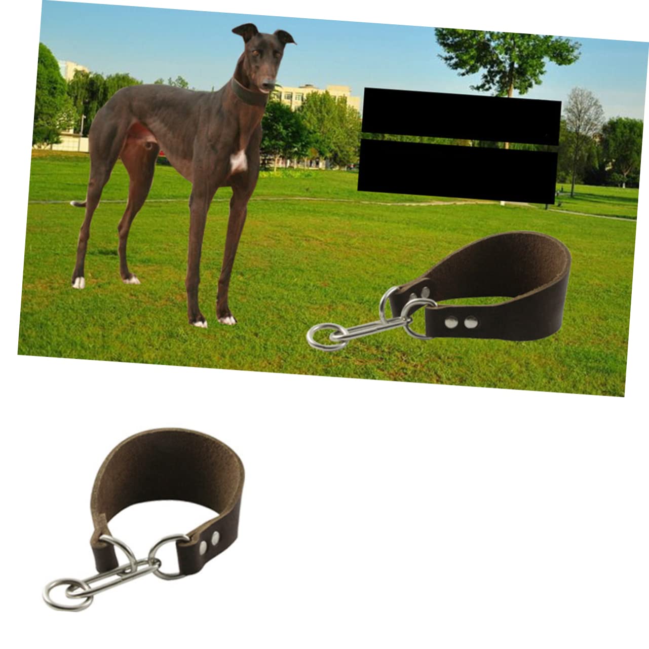 BESPORTBLE 3pezzi Collare Di Manzo Per Cani Con Fibbia Accessorio Resistente e Elegante Per Cani Con Collo Sottile Caffè