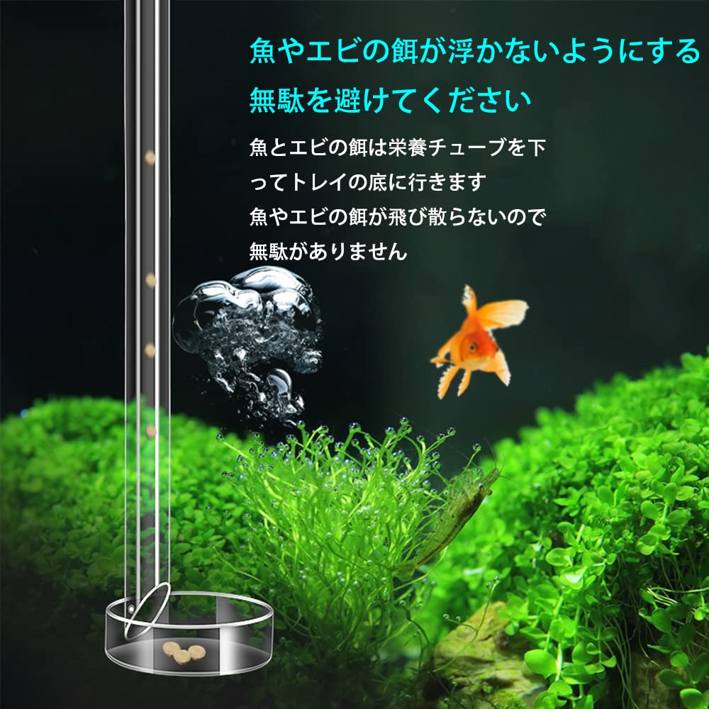 Amazon | 給餌皿 水槽セット エビ餌 トレイ チューブ 透明 アクリル