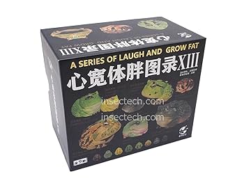 Amazon.co.jp: 【動物の惑星】アフリカウシガエル フィギュア