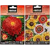 Reina Marg. Margaret Rojo & Crisantemo TRICOLOR