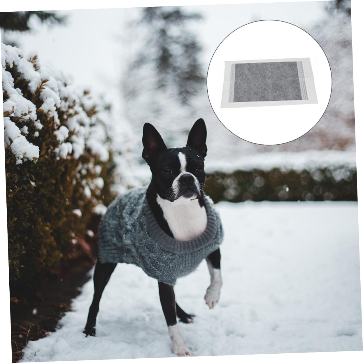 POPETPOP 30Pcs Disposable Pet Training Pads Thicker Urinal Mat for Dogs and Cats White Super Absorbent Quick Liquid Absorption for Pet Care