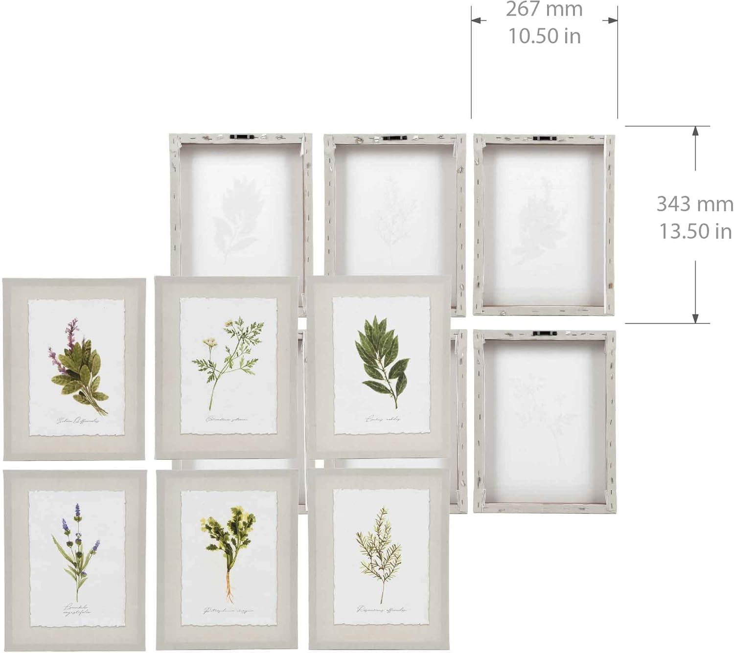 Haven Home Décor Ava Barrett Botanical Prints 13.5'' x 10.5'' Canvas Wall Art, Set of 6, Floral Wall Decor for Bathroom, Kitchen, Living Room, Bedroom