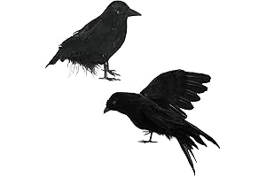 Halloween Realistic Black Crow