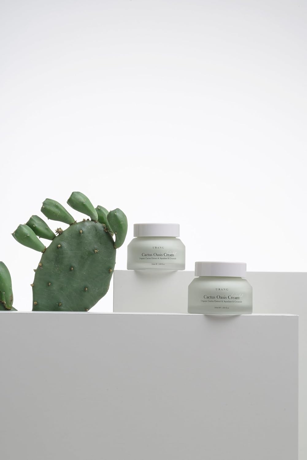 URANG Cactus Oasis Cream | Organic Certified | Vegan | Natural Skin Barrier Lightweight Hydrating Moisturizer | Tamanu Oil & Ceramide Moisturizer | Natural Skin care for Women, Men | 1.69 Oz