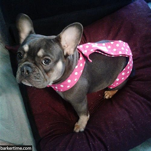 Miniatura 6 de Pañal para perro de alta calidad, impermeable, a prueba de escapes, con lunares rosados sobre negro, talla M, sin agujero para la cola, fabricado en