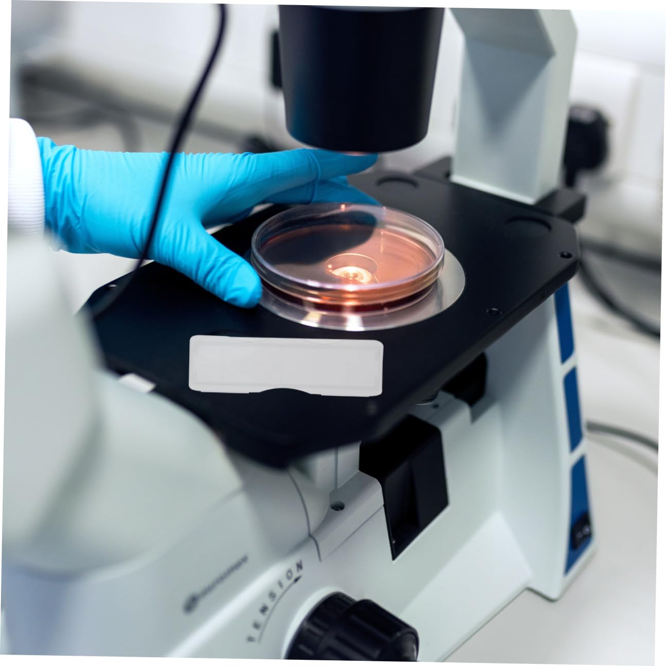 Scatola 100 Pezzi in Plastica Pp Porta Vetrini Microscopio e Chiusura Facile per Conservazione Laboratorio Microscopico Esperimenti
