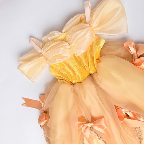 Miniatura 2 de TYHTYM Deluxe Princess Costumes Little Girls Dress Kids Fancy Gown Cosplay Halloween Party