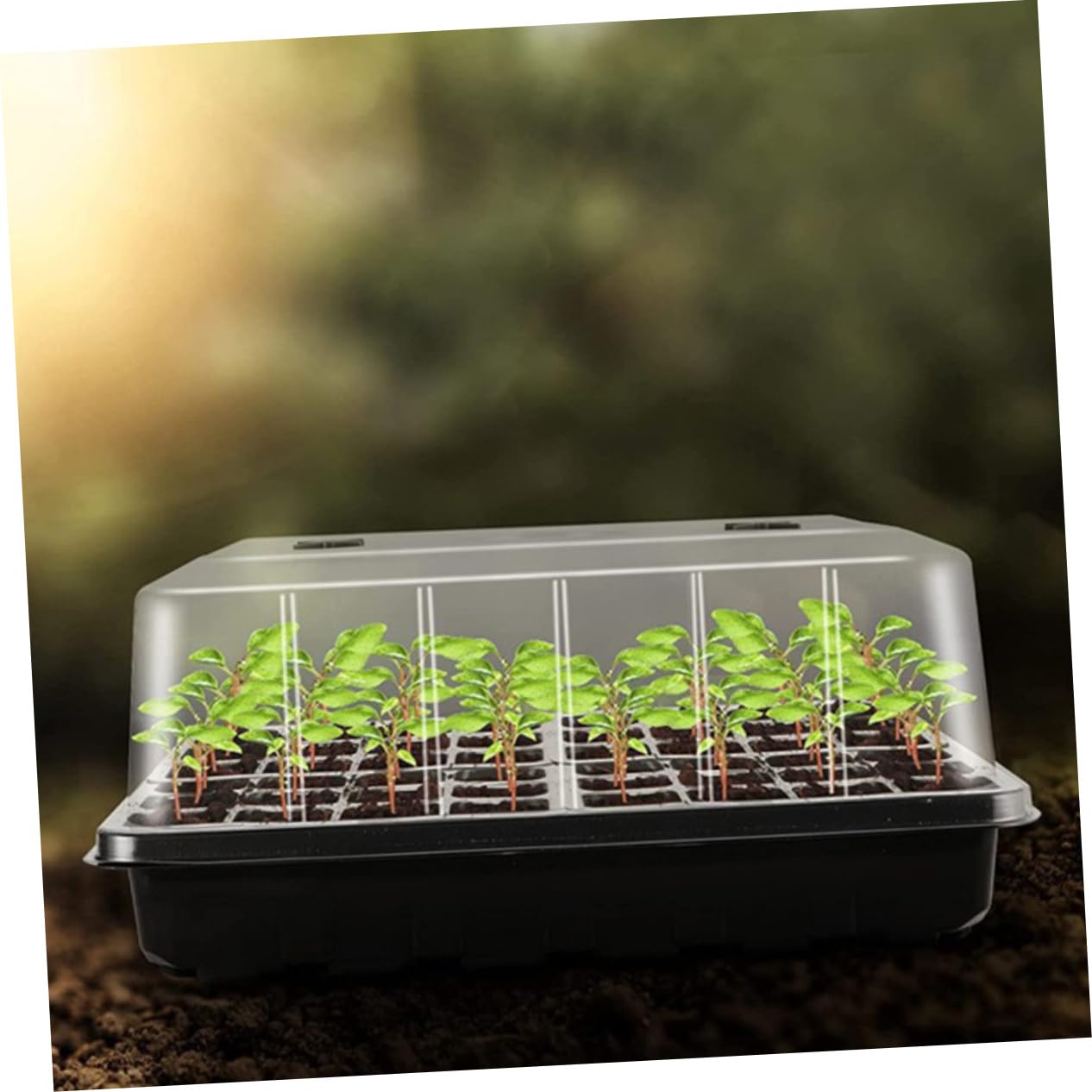 UPKOCH Plateau de Semis de Jardin Modèle S en Plastique, 1 Set pour Plants